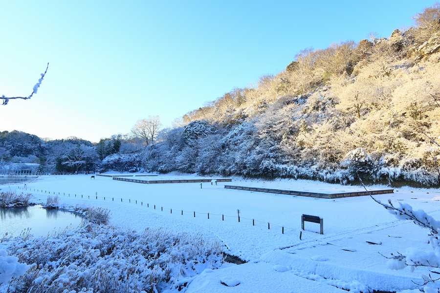 雪景色