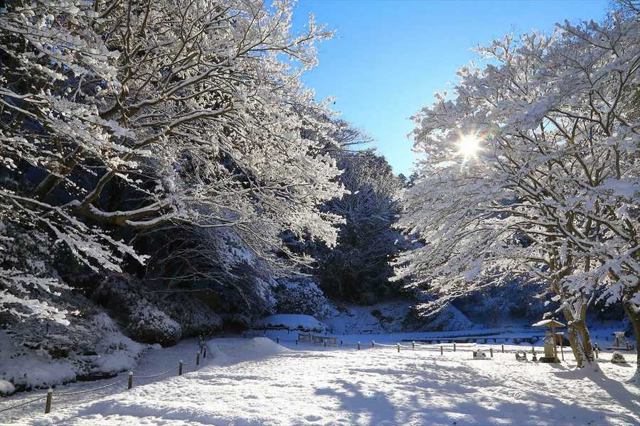 雪景色